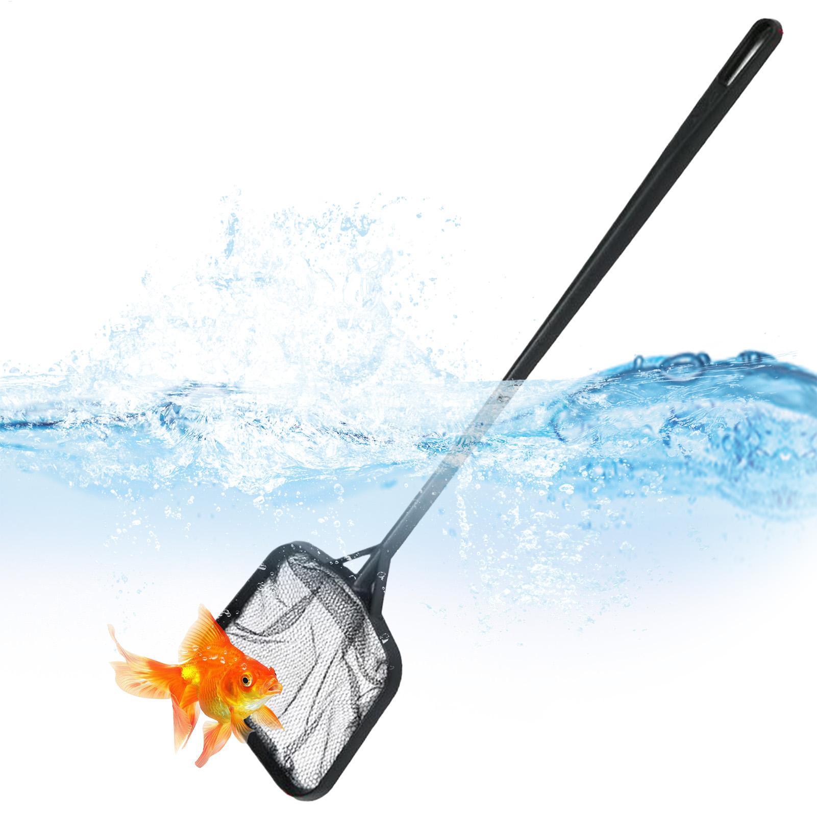 Aquarium Fish To Buy - Reti per la Pulizia della Piscina,