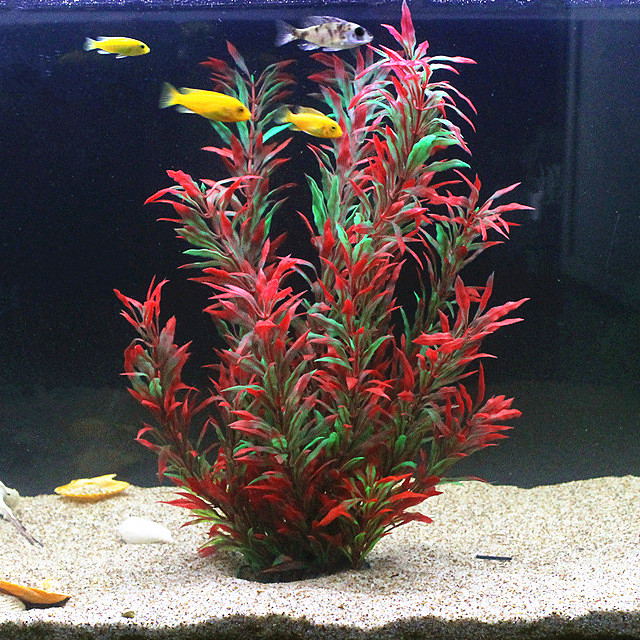 Aquarium Fish To Buy - 50CM Acquario artificiale Piante rare Acquario