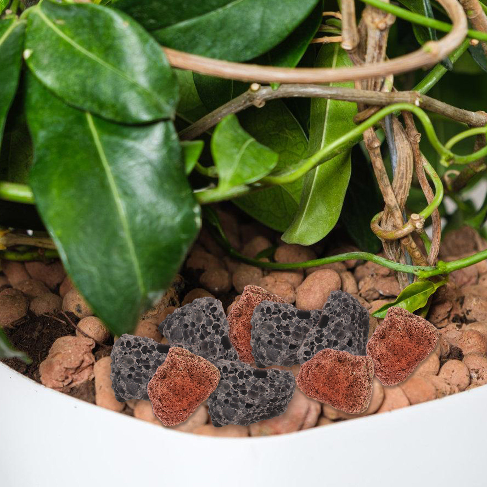 Set di Pietre Decorative per A - Aquarium Decoration Rock recensione e prezzo