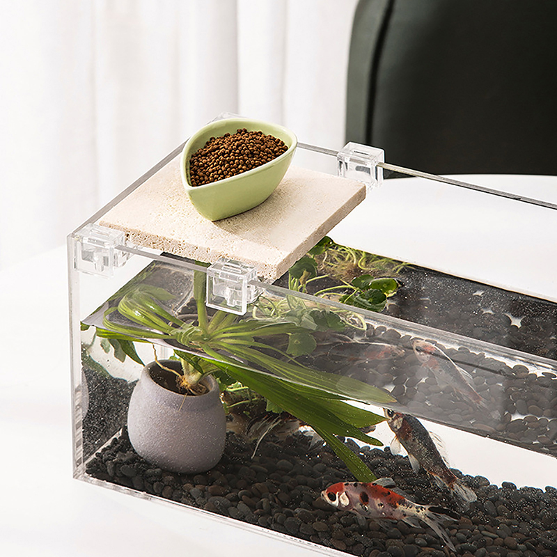 4 pezzi supporto per copertura - Aquarium Fish To Buy recensione e prezzo