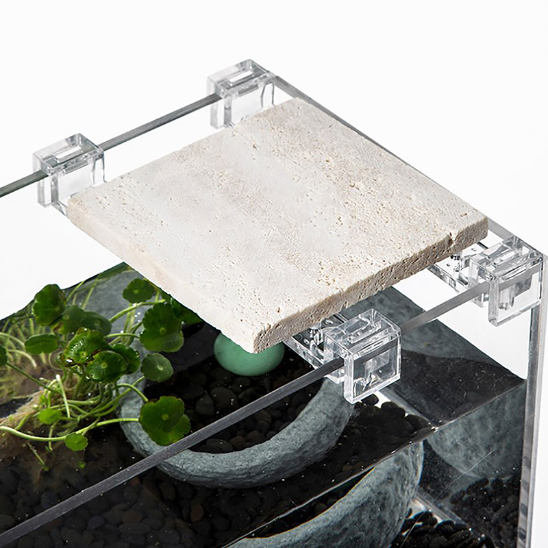 4 pezzi supporto per copertura - Aquarium Fish To Buy recensione e prezzo