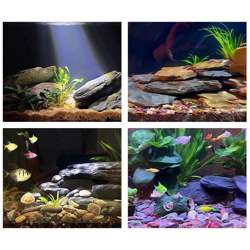 Kit di Pietre per Acquario 500 - Fish Aquarium Home recensione e prezzo