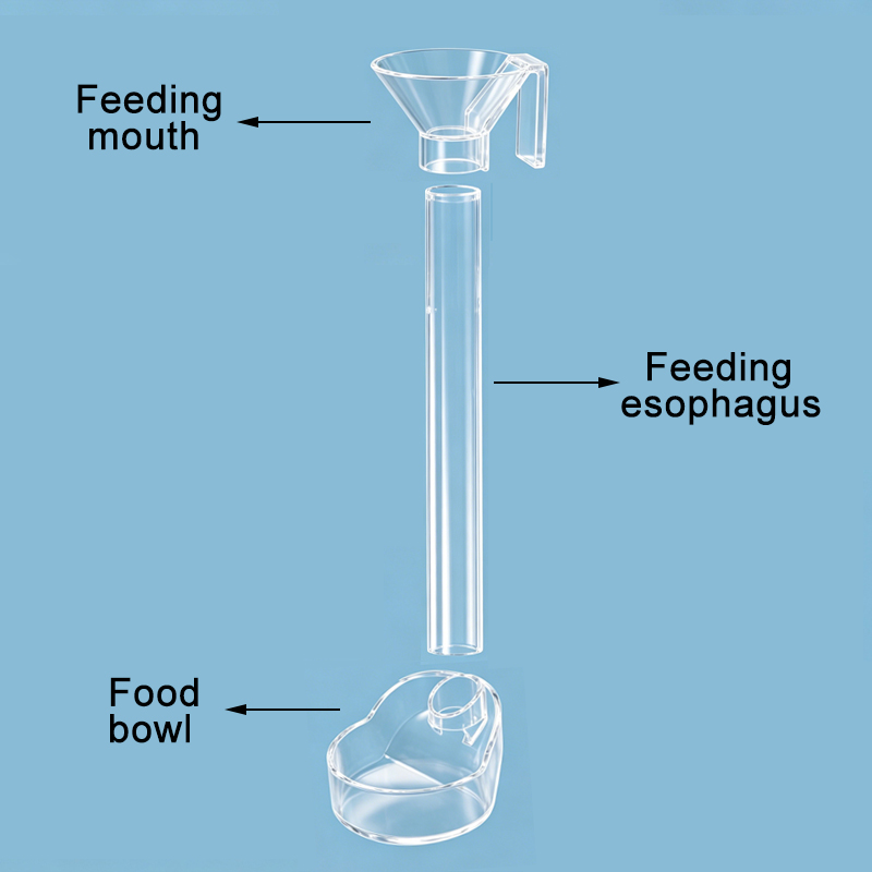 Dispenser di cibo per acquario - Aquarium Fish Big recensione e prezzo