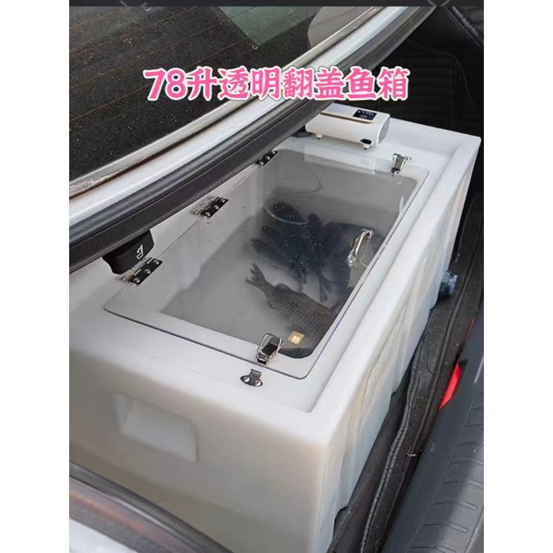 Contenitore per pesci vivi da  - Aquarium Fish To Buy recensione e prezzo