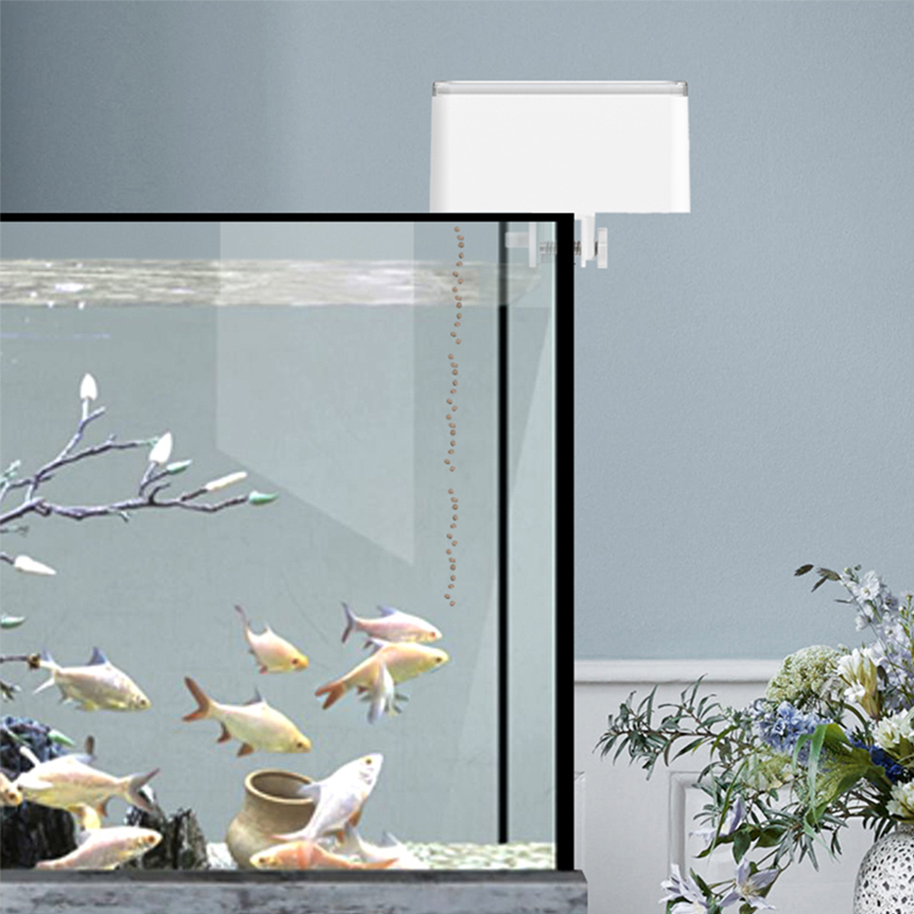 Alimentatore per pesci di gran - Aquarium Fish Big recensione e prezzo