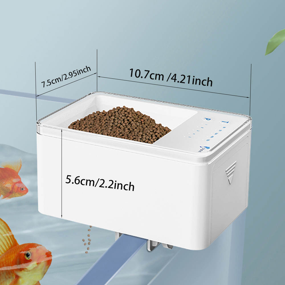Alimentatore per pesci di gran - Aquarium Fish Big recensione e prezzo