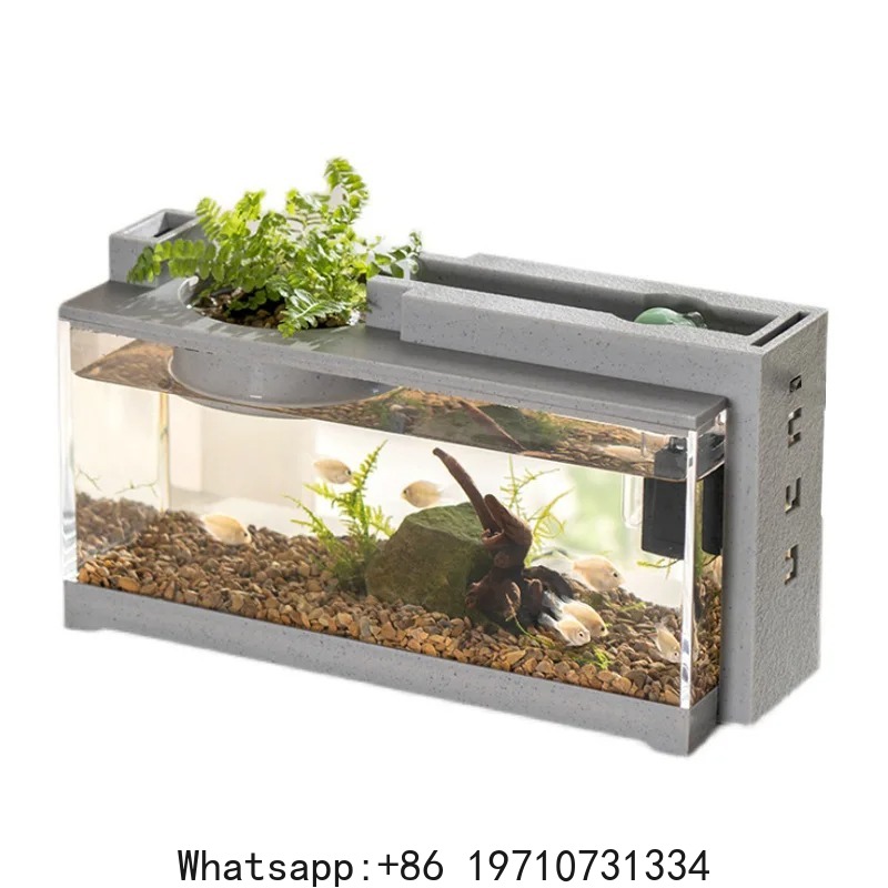 Kit Acquario con Barra di Ossi - Fish Aquarium Home recensione e prezzo