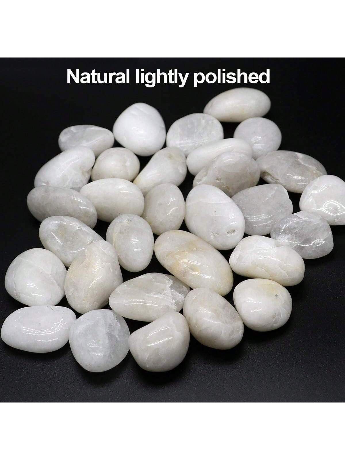 Rocce di fiume Pietre decorati - Aquarium Fish Big recensione e prezzo