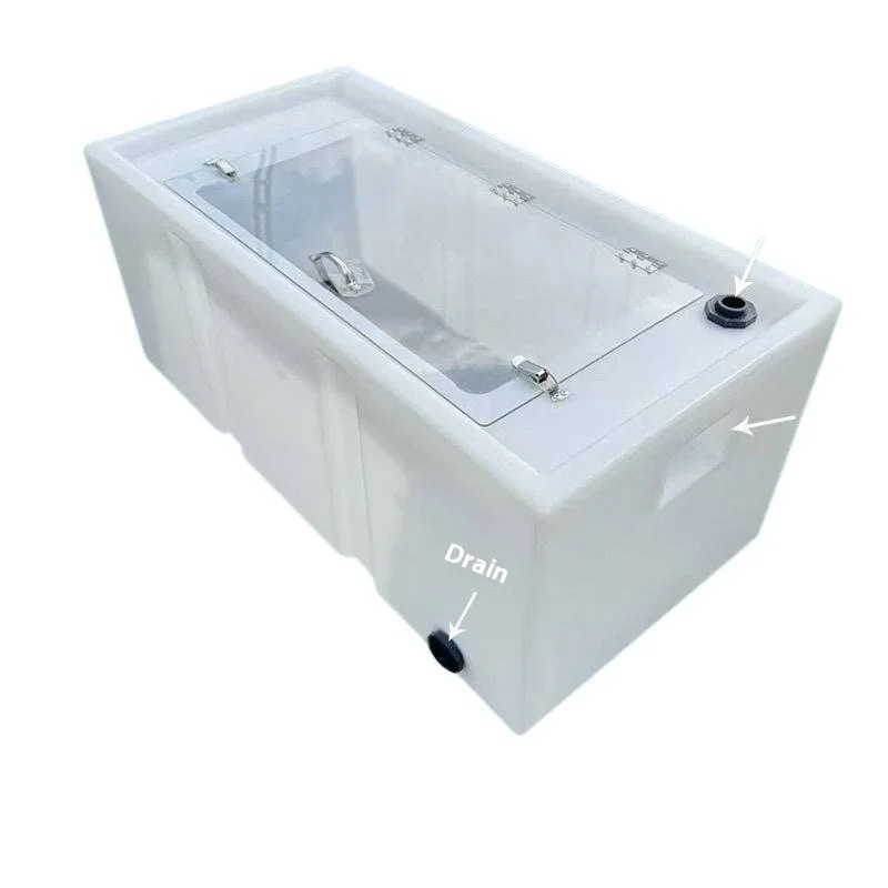 Contenitore per Pesci Vivi Rin - Aquarium Fish To Buy recensione e prezzo