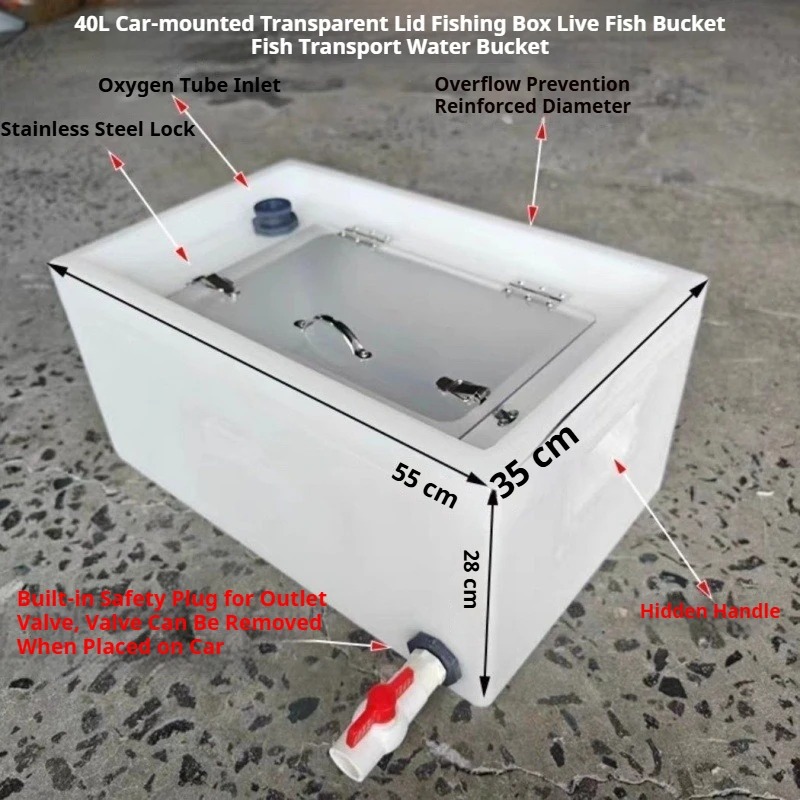 Contenitore per Pesci Vivi Rin - Aquarium Fish To Buy recensione e prezzo