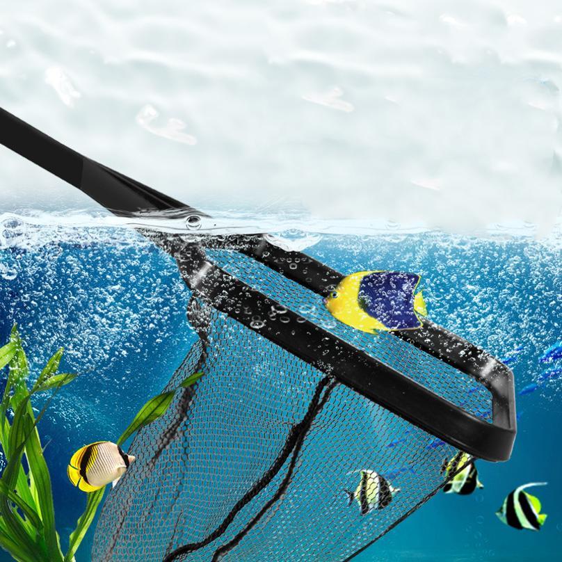 Rete da Pesca Telescopica in P - Aquarium Fish Big recensione e prezzo