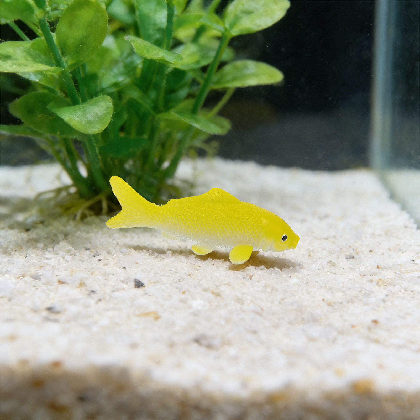 Set di 3 Statuette di Pesci Re - Fish Aquarium Home recensione e prezzo