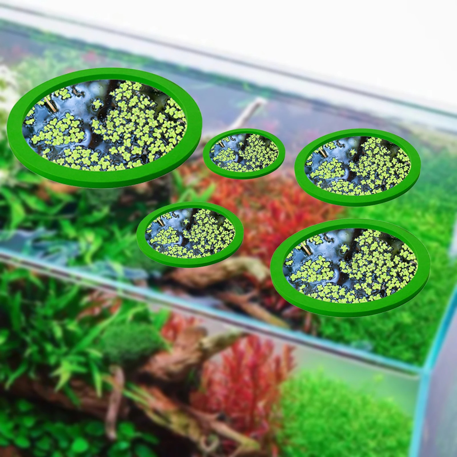 5 pz EVA Anello di Alimentazio - Fish Aquarium Home recensione e prezzo