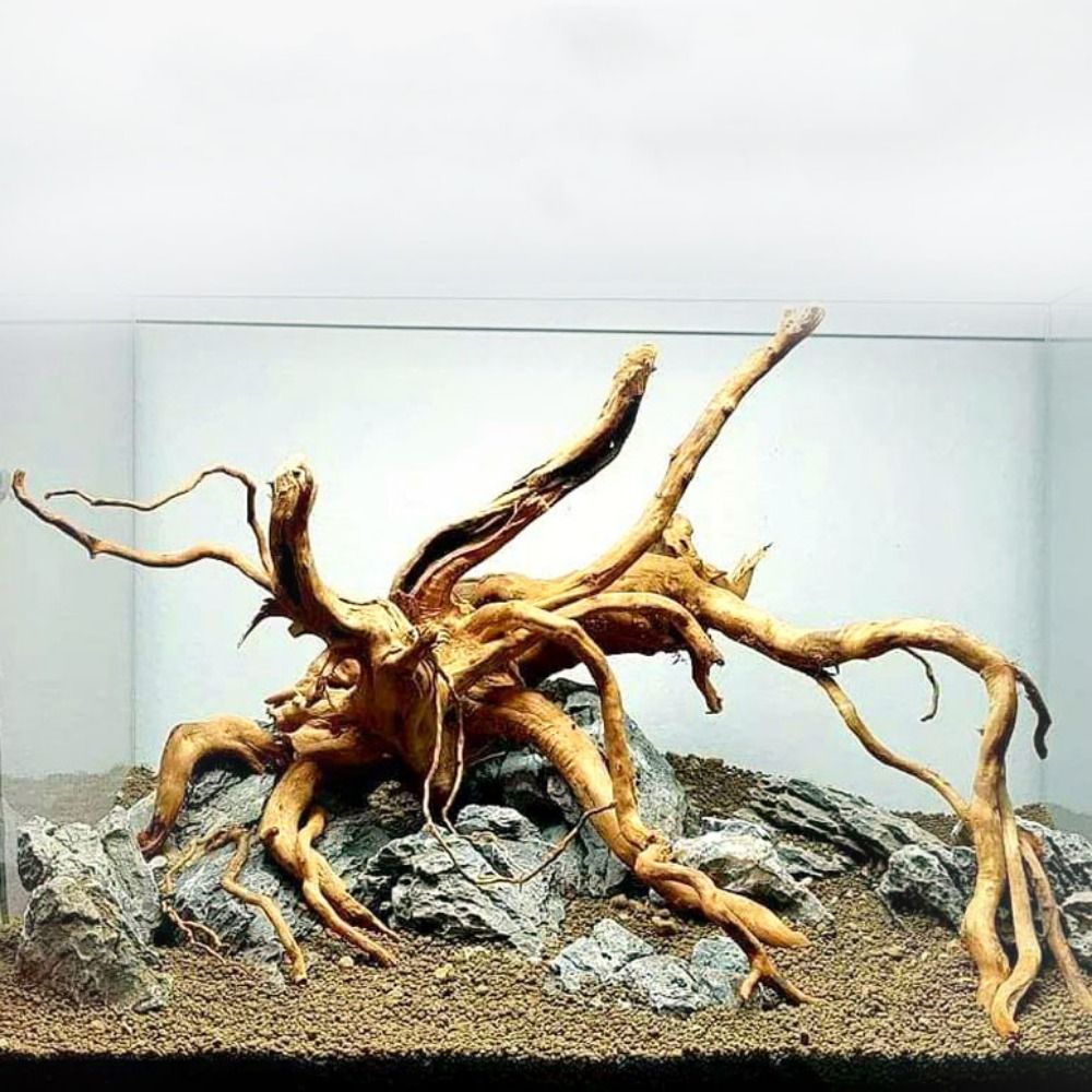 Legno Naturale per Acquario 20 - Aquarium Fish Big recensione e prezzo