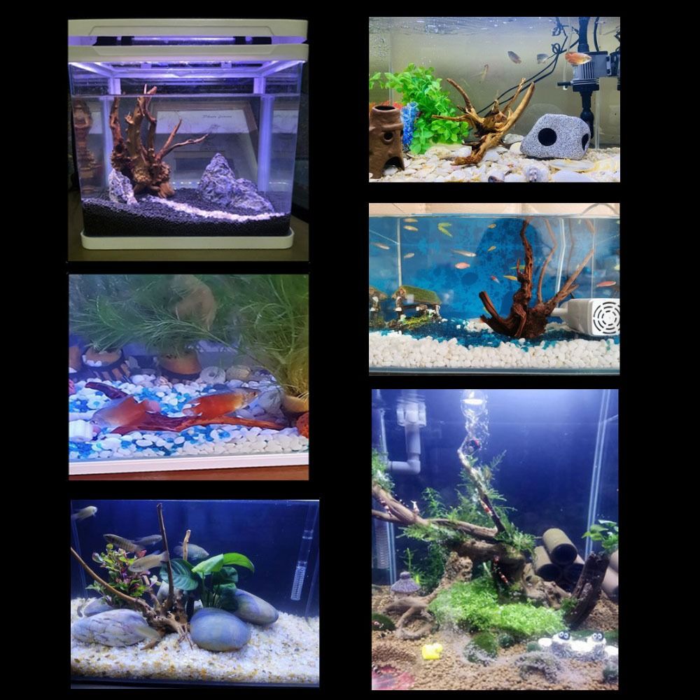 Legno Naturale per Acquario 20 - Aquarium Fish Big recensione e prezzo