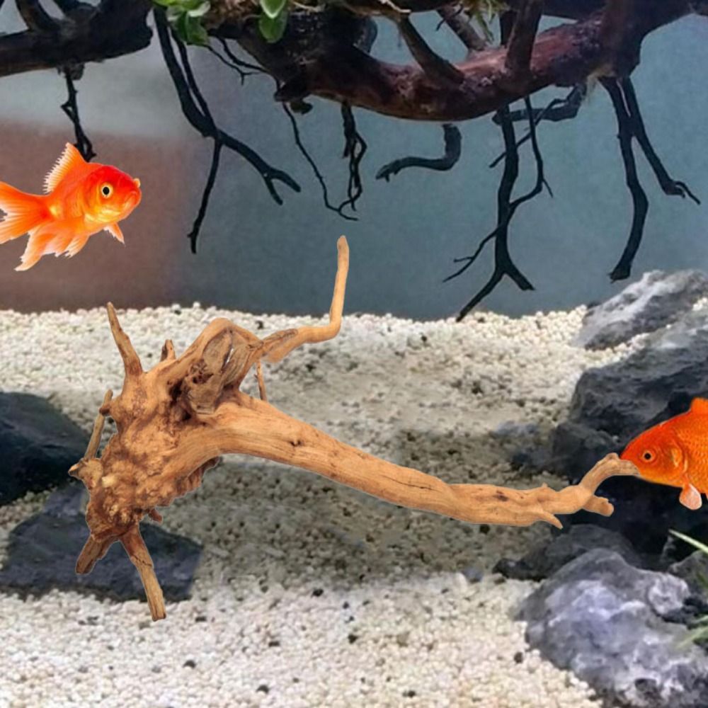 Legno Naturale per Acquario 20 - Aquarium Fish Big recensione e prezzo