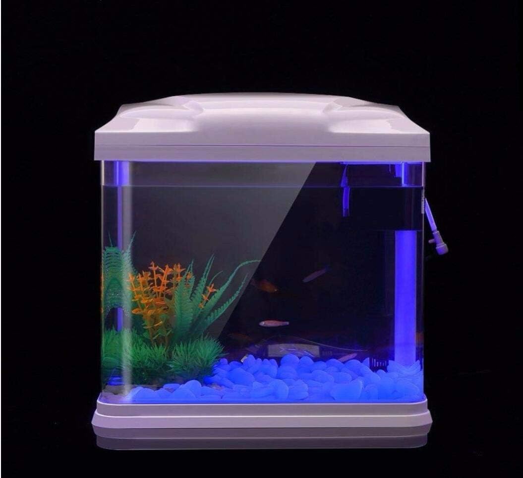 Rocce per acquari che si illum - Fish Aquarium Home recensione e prezzo