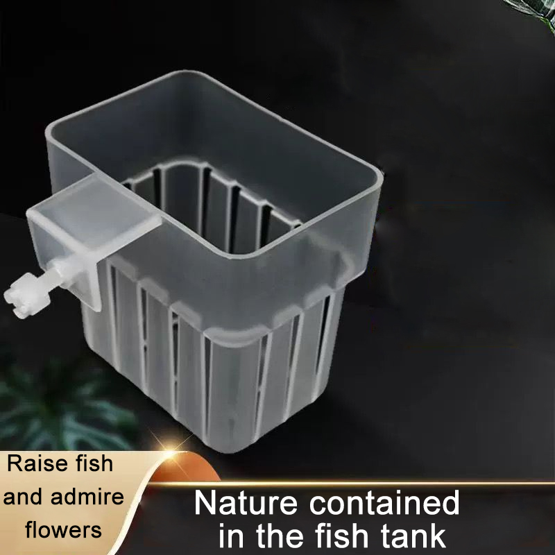 Cestino idroponico trasparente - Aquarium Fish Big recensione e prezzo