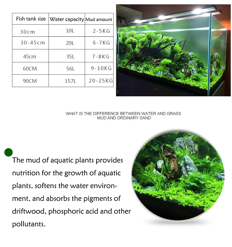Acquario semi di piante terren - Aquarium Fish To Buy recensione e prezzo
