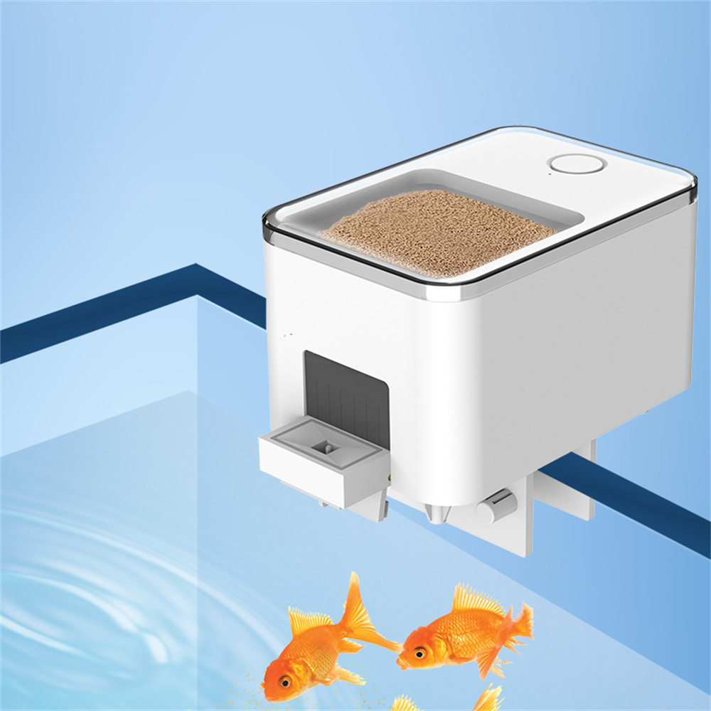 Alimentatore automatico intell - Aquarium Fish Big recensione e prezzo