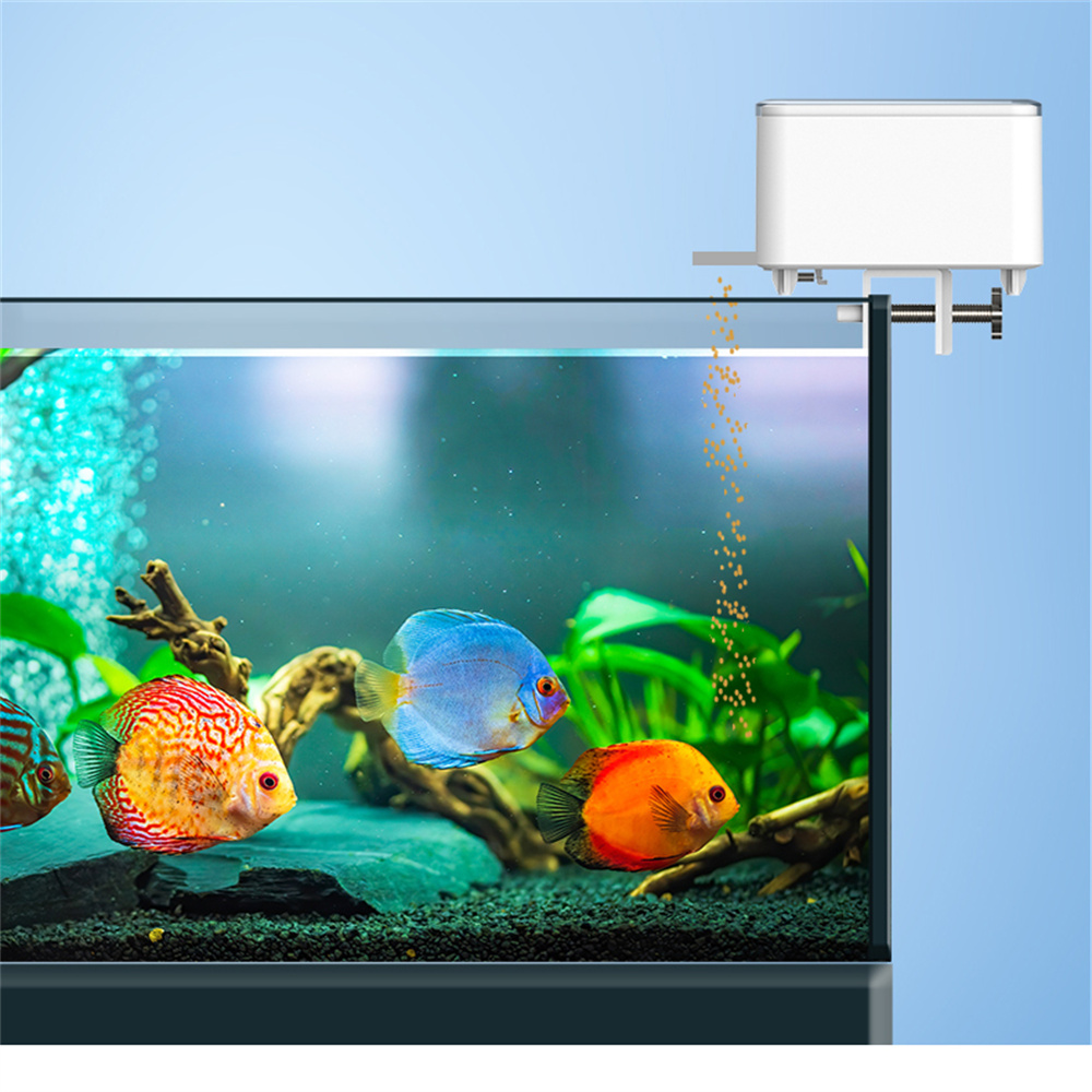 Alimentatore automatico intell - Aquarium Fish Big recensione e prezzo