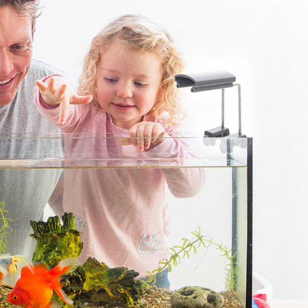 Supporto per Luce Acquario Reg - Fish Aquarium Home recensione e prezzo