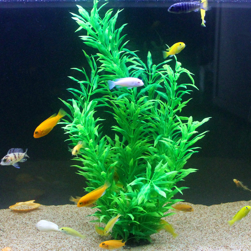 50CM Acquario artificiale Pian - Aquarium Fish To Buy recensione e prezzo