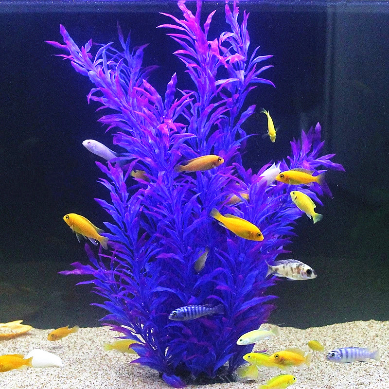 50CM Acquario artificiale Pian - Aquarium Fish To Buy recensione e prezzo