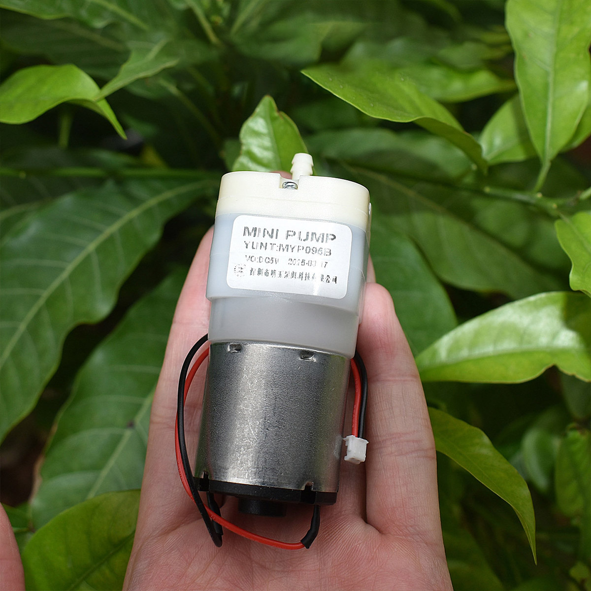 Mini Pompa d'Aria 528 DC 3.7V  - Aquarium Fish Big recensione e prezzo