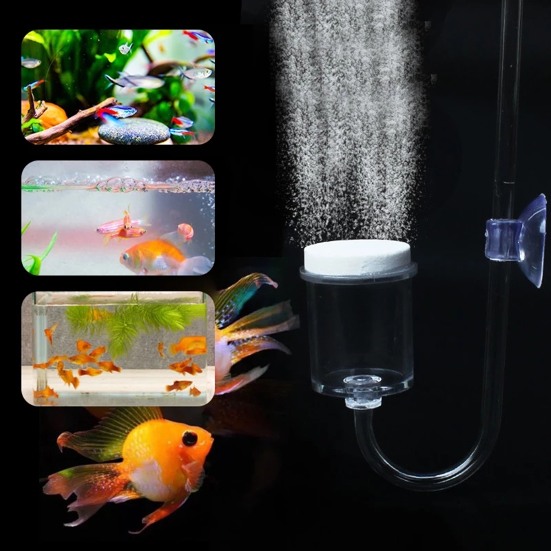Set da 4 pezzi diffusore di CO - Aquarium Fish To Buy recensione e prezzo